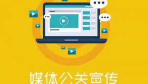 智聯灣區，網贏未來 廣東省網絡推廣與市場營銷整合策劃方案